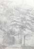 Martin, William A. (1899-1988): Sketch of trees with path and Carn Brea monument in the distance, pencil, 18.7 x 24.9 cms. Presented by Moss, Ruth. Bequest.