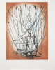 Hepworth, Dame Barbara (1903-1975): Spring 1957- print produced for the Hepworth Centenary Exhibition at Tate St Ives, printer: Stoneman, Hugh (1947-2005), publisher: Tate St Ives, signed and dated 2003, photogravure, 58.5 x 45 cms. The Art Fund Hugh Stoneman Archive. © Bowness, Hepworth Estate.