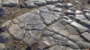 Fagin, Anthony (born 1938): Lava rock polished by generations of sealions hauling up, photograph, 30 x 42 cms. Presented by the artist as part of the Heritage Lottery Fund's Darwin 200 celebrations.
